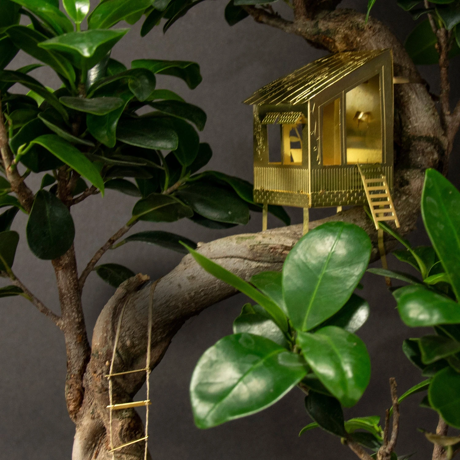 Tiny Treehouse By BOTANOPIA 2 Tiny Treehouse By BOTANOPIA - Image 2