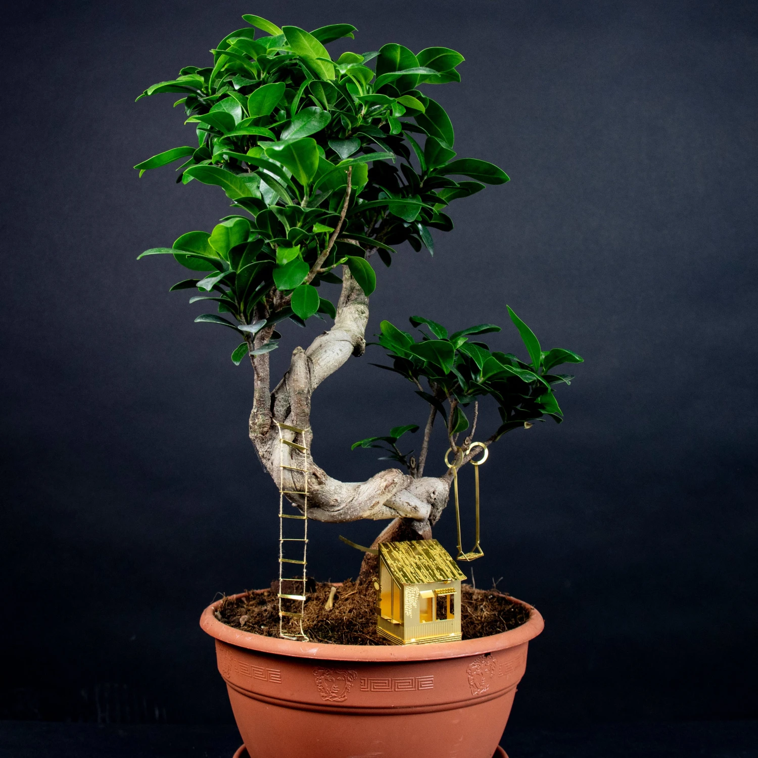 Tiny Treehouse By BOTANOPIA 1 Tiny Treehouse By BOTANOPIA