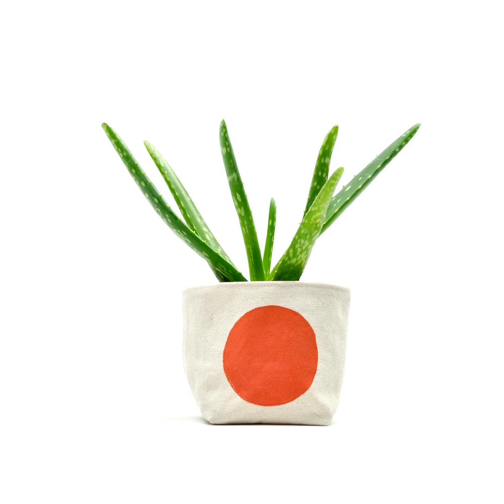 Orange Dot 4 Inch Canvas Planter By GRAY GREEN GOODS 1 Orange Dot 4 Inch Canvas Planter By GRAY GREEN GOODS
