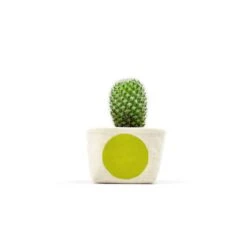 Chartreuse Dot Blockprint Cotton Canvas Planter - 3 Inch By GRAY GREEN GOODS