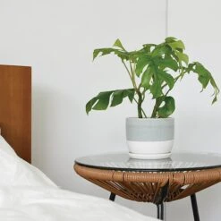 KINTO PLANT POT Model 193 5 KINTO PLANT POT Model 193 -Cloud-Hidden Plants s753278155256112669 p867 i2 w900