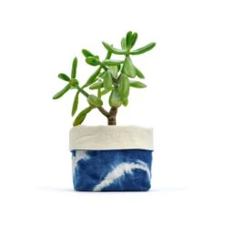 Shibori Indigo Linen Foldover 4 Inch Canvas Planter By GRAY GREEN GOODS