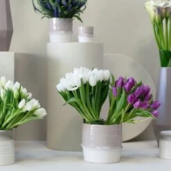 VALLEY Planter Beige Cream Stripe Ridged By Accent Decor 5 VALLEY Planter Beige Cream Stripe Ridged By Accent Decor -Cloud-Hidden Plants s753278155256112669 p871 i3 w618