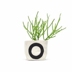 Black Circle 4 Inch Canvas Planter By GRAY GREEN GOODS