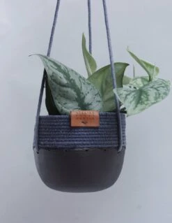 COCOON Hanger For Indoor Plants By ATMA CERAMICS