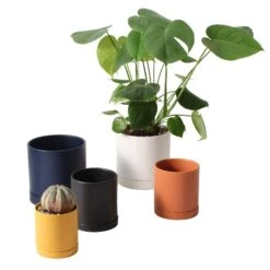 ROMEY Cylinder Pot With Saucer (Orange / White / Black / Ochre-Mustard Yellow)