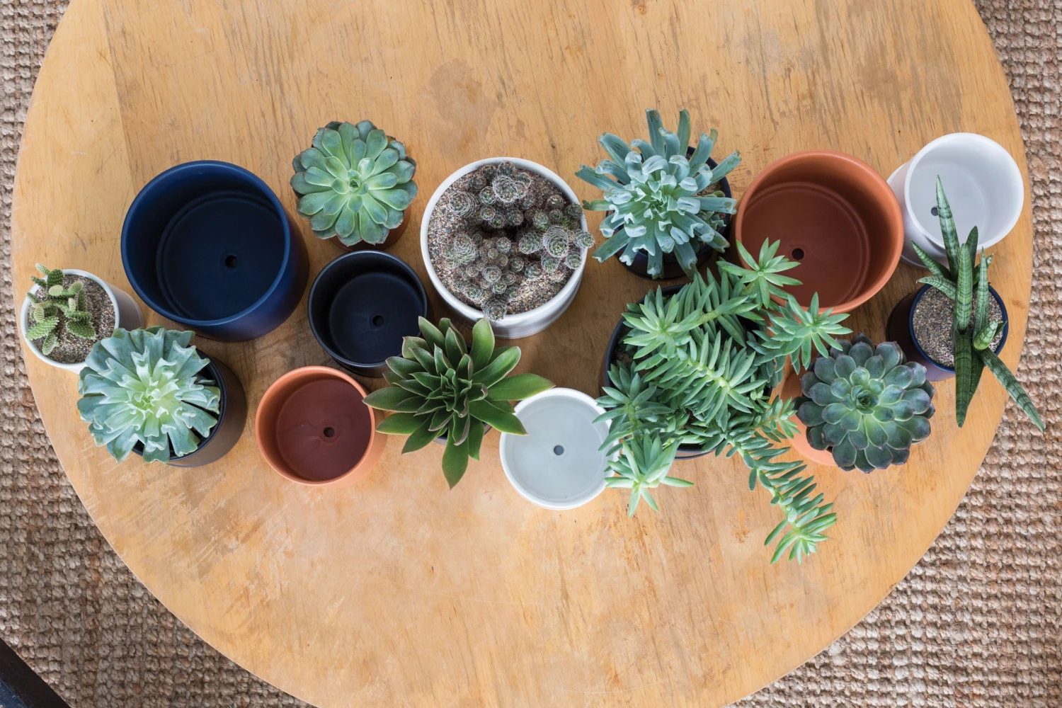 ROMEY Cylinder Pot With Saucer (Orange / White / Black / Ochre-Mustard Yellow) 2 ROMEY Cylinder Pot With Saucer (Orange / White / Black / Ochre-Mustard Yellow) - Image 2