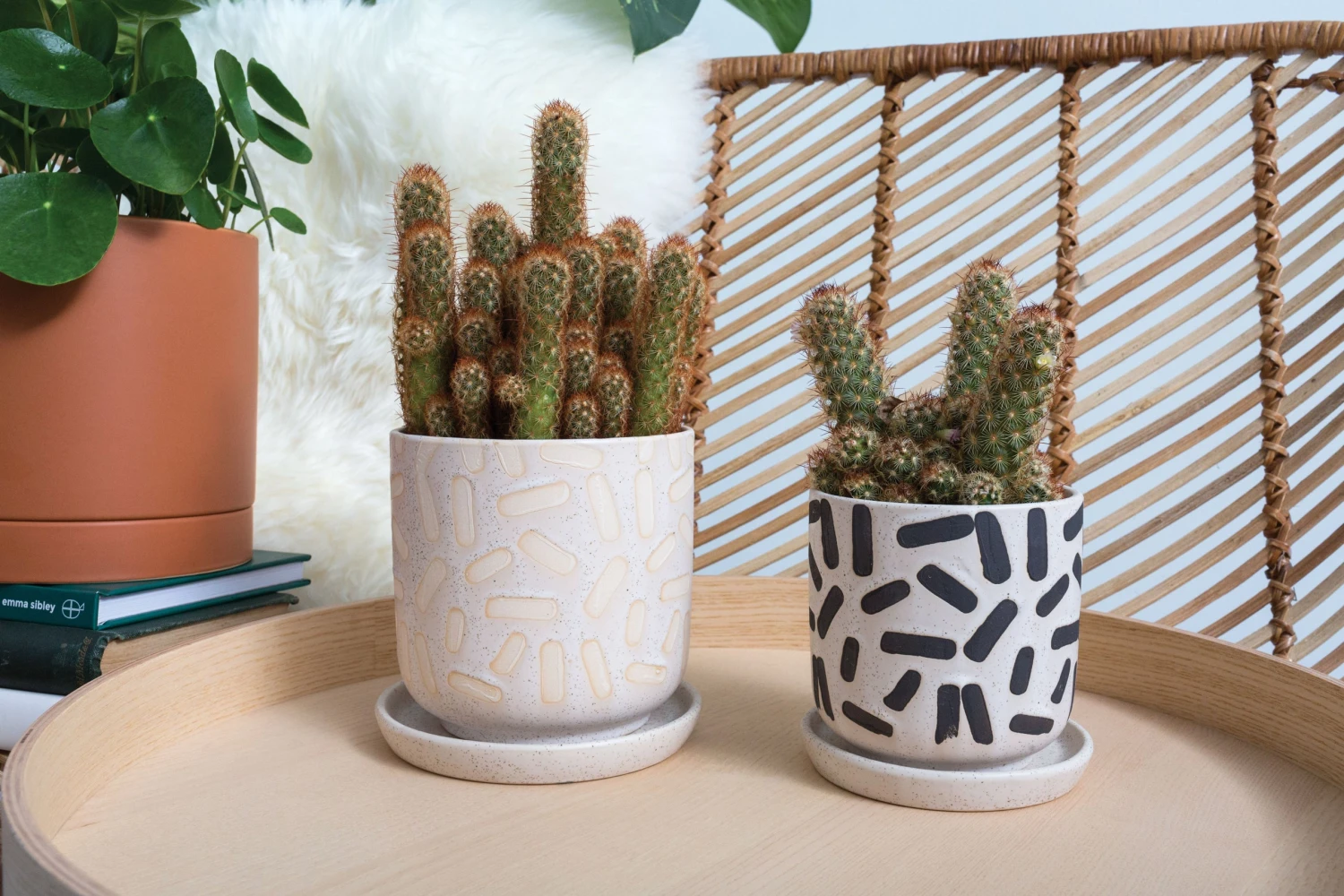 Jelly Beans - Sundae Pot With Saucer 2 Jelly Beans - Sundae Pot With Saucer - Image 2