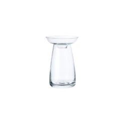 Small KINTO AQUA CULTURE Glass Vase 7 Small KINTO AQUA CULTURE Glass Vase -Cloud-Hidden Plants s753278155256112669 p921 i5 w1000