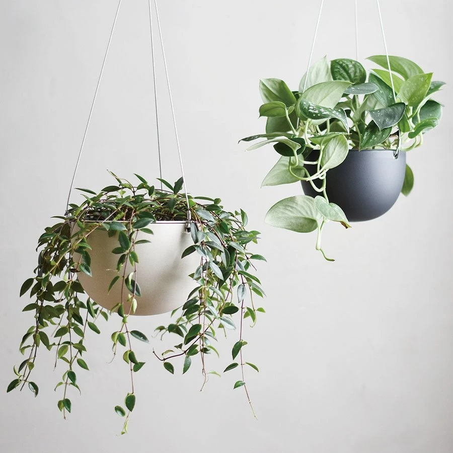 KINTO 201 HANGING PLANT POT 7 Inch 2 KINTO 201 HANGING PLANT POT 7 Inch - Image 2
