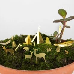 Tiny Camping Set By BOTANOPIA 8 Tiny Camping Set By BOTANOPIA -Cloud-Hidden Plants s753278155256112669 p925 i5 w1080