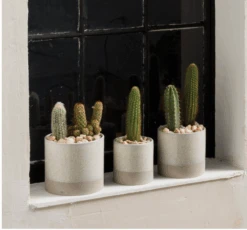 DOWNY Beige Speckle Texture Banded Cylinder Pot -Cloud-Hidden Plants s753278155256112669 p928 i5 w804