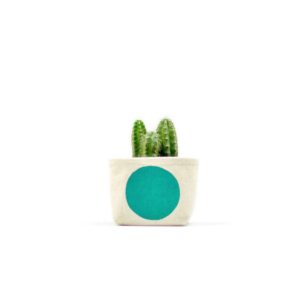 Turquoise Dot 3 Inch Canvas Planter By GRAY GREEN GOODS 1 Turquoise Dot 3 Inch Canvas Planter By GRAY GREEN GOODS