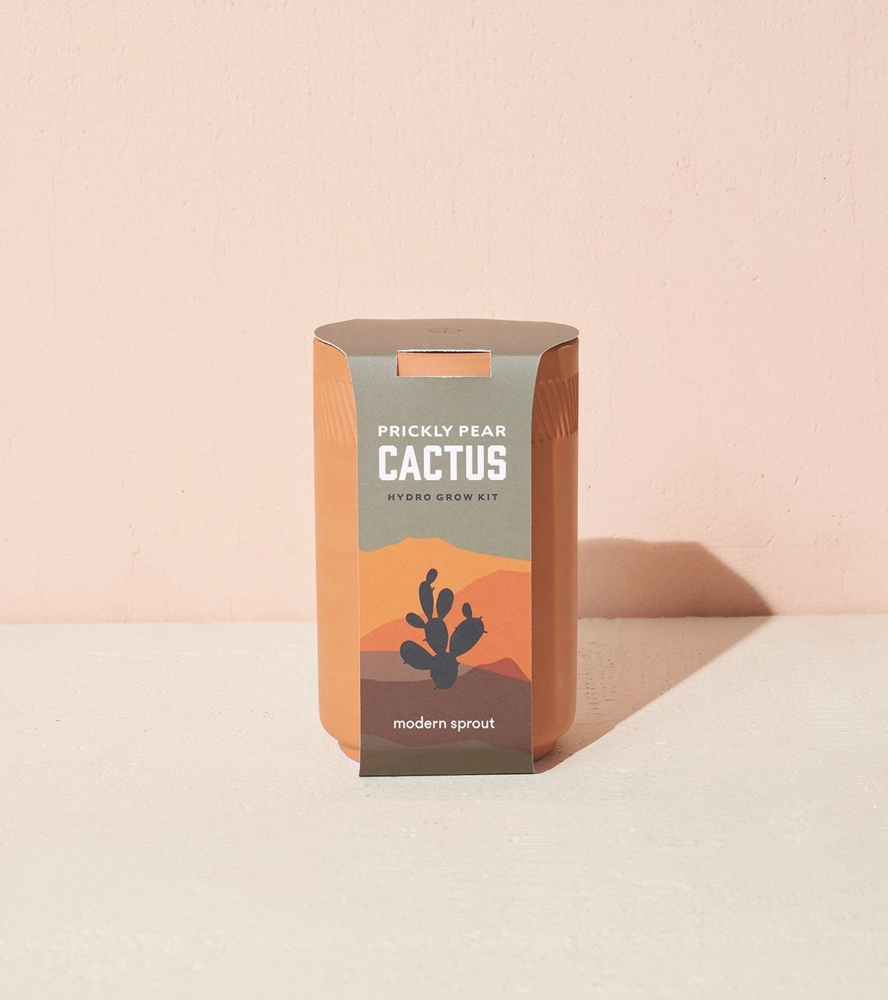 Prickly Pear Cactus Terracotta Grow Kit By Modern Sprout 2 Prickly Pear Cactus Terracotta Grow Kit By Modern Sprout - Image 2