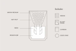 Prickly Pear Cactus Terracotta Grow Kit By Modern Sprout 7 Prickly Pear Cactus Terracotta Grow Kit By Modern Sprout -Cloud-Hidden Plants s753278155256112669 p953 i4 w962