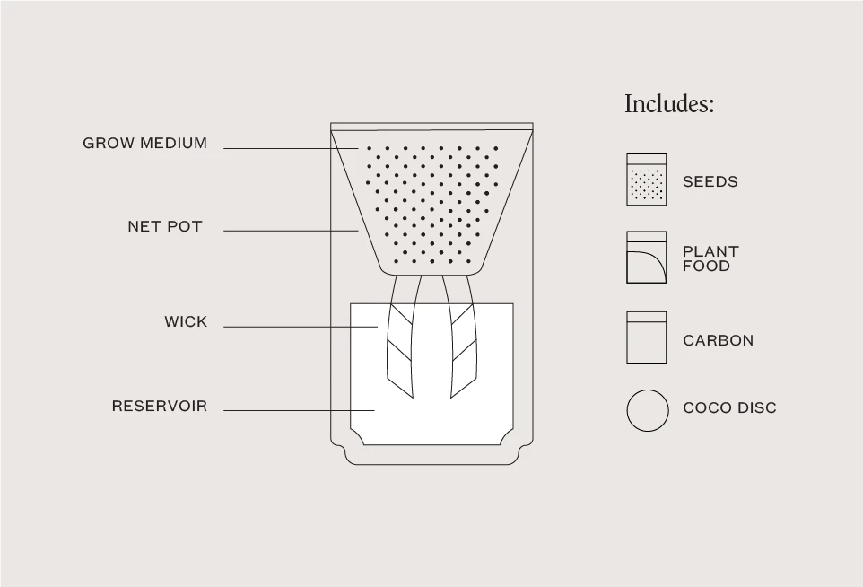 Prickly Pear Cactus Terracotta Grow Kit By Modern Sprout 4 Prickly Pear Cactus Terracotta Grow Kit By Modern Sprout - Image 4