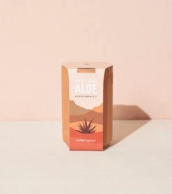 Healing Aloe Terracotta Grow Kit By Modern Sprout -Cloud-Hidden Plants s753278155256112669 p954 i12 w1244